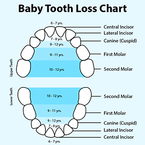 Teeth Falling Out Chart